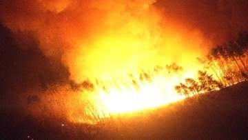 岩手・山林火災　延焼が拡大…町民の3割に避難指示