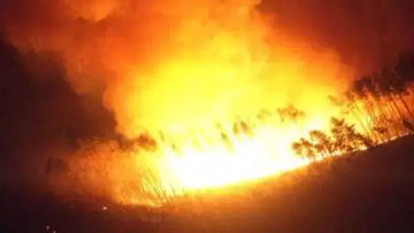 岩手・山林火災　延焼が拡大…町民の3割に避難指示