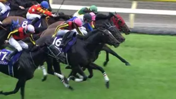 【春の女王決定戦 ヴィクトリアマイル・G1】東京5週連続G1の第2弾！桜花賞＆秋華賞馬vsオークス馬　4度目直接対決の行方は？