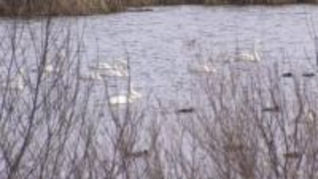 【札幌から日帰りドライブ】古民家カフェにガレット専門店―旅のプロが教える！長沼町の穴場スポット特集 世界に一つだけのグラス作り体験も＜北海道＞