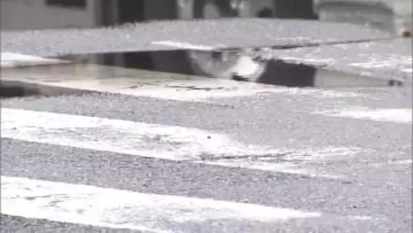 15歳女子高校生がトラックにはねられ死亡…アルバイトから帰宅途中に横断歩道で事故　トラック運転手「歩行者に気がつかず」　千葉市美浜区