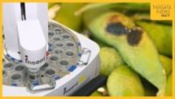 食材の美味しさが数値でわかる!?実証実験で売り上げ2割アップ! 新潟の食に“新たな価値”生み出しにぎわい創出へ