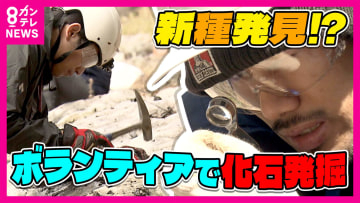 恐竜化石の聖地でボランティア発掘　化石を探し無心になって石を割り続けることにハマる人続出　20年連続で参加する人も