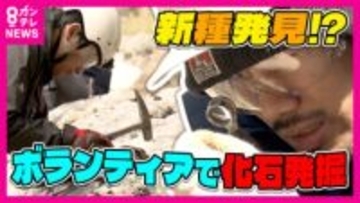 恐竜化石の聖地でボランティア発掘　化石を探し無心になって石を割り続けることにハマる人続出　20年連続で参加する人も