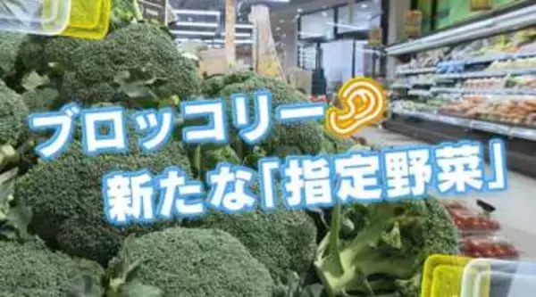 ブロッコリーが「指定野菜」に追加　需要増が生む期待と広島の課題