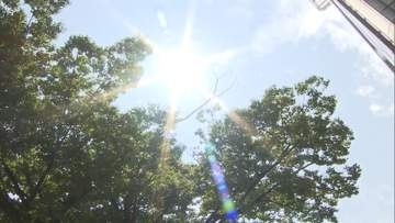 東京23区で今年初の熱中症疑いによる死者確認　都心の最高気温29度超え、住宅でエアコン使用せず70代男性死亡