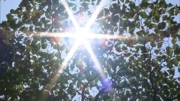 全国3カ所で気温40度超え「酷暑日」観測　あすも災害級の危険な暑さ続く見込み