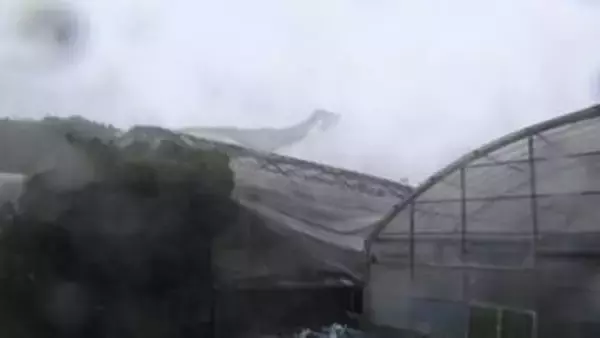 沖縄接近の台風6号　倒木、停電で早くも被害　風にあおられ男性転倒　鹿児島含め約10万人に避難指示