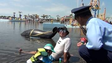 夏休み大型プール施設で置き引き防止パトロール　テントで過ごす子連れ家族などに注意呼びかけ　千葉・山武市