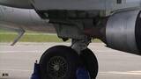 「東京発の飛行機の車輪格納部分から身元不明の遺体　クアラルンプール国際空港で整備士が発見　年齢は推定17～25歳」の画像1