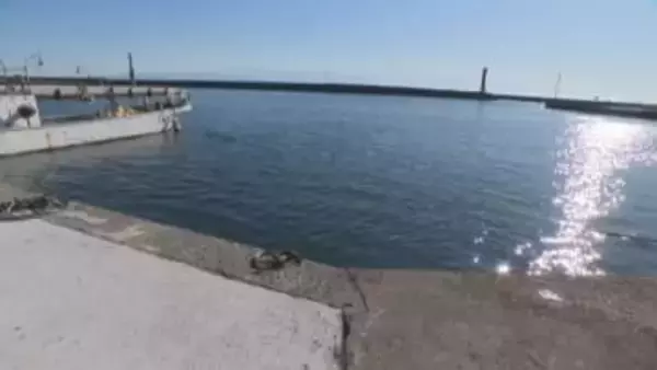 富山県氷見市の漁港で軽自動車が海に転落、車内にいた68歳男性が死亡