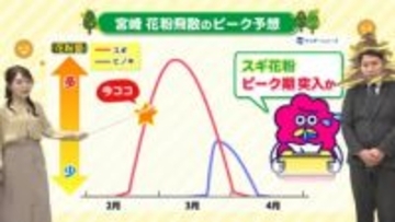 花粉の侵入を最小限に！換気は「早朝・10cm・カーテン」が鉄則。古山予報士が解説する“魔の時間帯”の対策とは