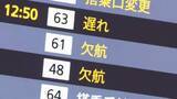 「航空管制トラブル復旧作業　国の想定時間大幅に超過」の画像1
