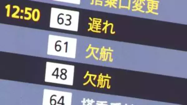 航空管制トラブル復旧作業　国の想定時間大幅に超過