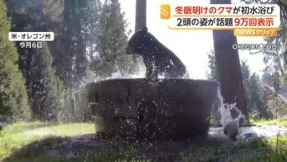 冬眠明けのクマが“バスタブ”でバシャバシャ水浴び　もう1頭来るもかたくなガードで“独り占め”　アメリカ