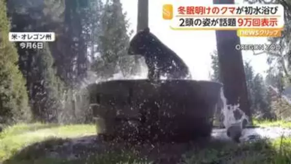 冬眠明けのクマが“バスタブ”でバシャバシャ水浴び　もう1頭来るもかたくなガードで“独り占め”　アメリカ