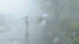 「「梅雨の走り」夏のような暑さから季節が逆戻り？気温も急降下し各地で雨や強風　週明け関東で再び季節外れの暑さに」の画像1