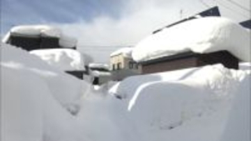 “カラカラ列島”全国で火事相次ぐ　乾燥でキャベツや白菜がピンチ…サイズ小さく中身もスカスカ