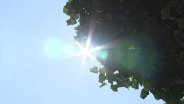 正午で「真夏日」が700ヵ所　埼玉・熊谷市は40度予想で今年初の「酷暑日」か　災害級の暑さに要警戒