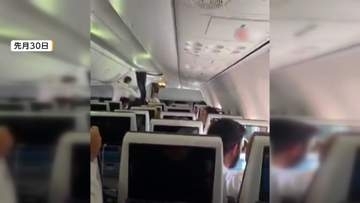 「何が起きたの？」中東上空で旅客機が急降下　副操縦士が機長を刺す　操縦かん引いた乗客「やるか死ぬか」　乗客は全員無事