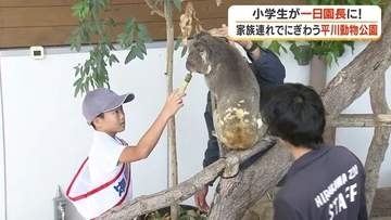 国内最多20頭のコアラ飼育　鹿児島・平川動物公園で小6が一日園長「将来の夢に飼育員を候補に入れる」