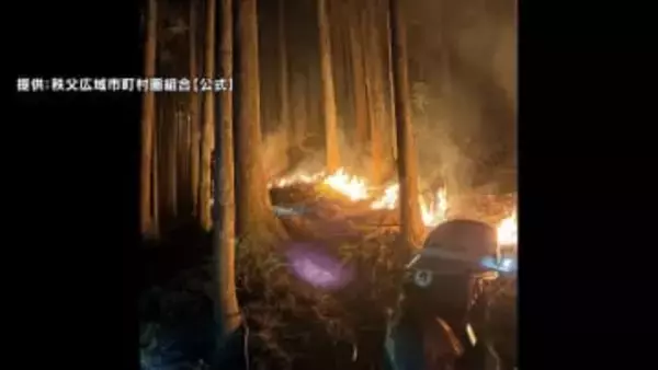 「鎮圧」した山林火災が再び延焼…消火活動続く　県が自衛隊に災害派遣要請　住民避難はなし　埼玉・秩父市
