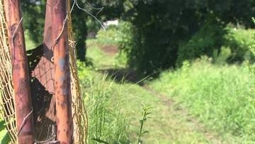 死亡の男子高校生（17）は車に追跡された末に暴行か　友人らとバイク2台で走行　現場付近で追いつかれる　神奈川・相模原市