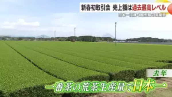 「お茶もまだまだ伸びていける」鹿児島茶の勢い止まらず！　新春初取引会で平均単価が前年の2倍以上、売上額4倍の2000万円超えを記録