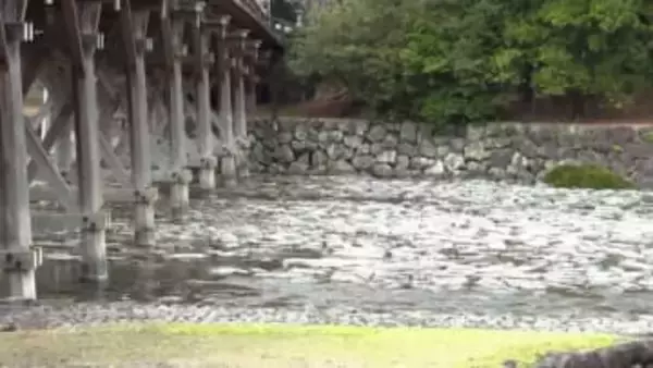 伊勢神宮の“神聖なる清流”も川底露出　雨不足で春野菜も変色し"半分サイズ"に　1800体のひな人形ずらり！春本番の陽気