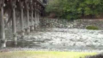 伊勢神宮の“神聖なる清流”も川底露出　雨不足で春野菜も変色し"半分サイズ"に　1800体のひな人形ずらり！春本番の陽気