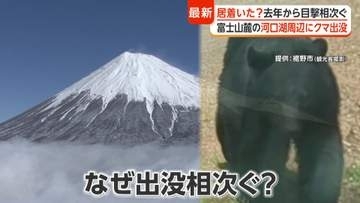 山開きの富士山麓でクマ出没相次ぐ　観光地・河口瑚は不安の声　“絶滅の恐れ”に専門家「生息域が拡大」登山時も注意
