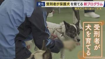 受刑者による「保護犬育成プログラム」で再犯防止に繋げる狙い「自分と重なる部分がある」　一筋縄ではいかない更生も…互いに変化