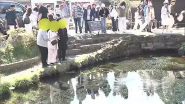 「忍野八海の池に“投げ銭”する外国人観光客「願い事のため」　勘違いが広がり大量のコイン沈む　“賽銭箱”見立てた回収箱で世界遺産をきれいに」の画像