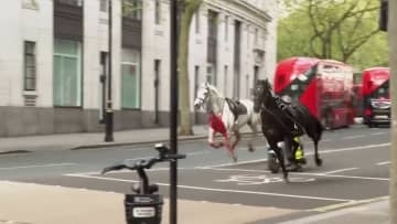 ロンドン中心部で馬5頭が暴走し4人ケガ　王室行事参加の近衛騎士隊から逃走しバスや乗用車に衝突