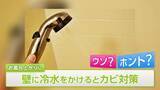 「【梅雨前に…】お風呂場カビ対策の疑問「壁に冷水をかける」「ドアを開けて換気」はウソ？ホント？」の画像1
