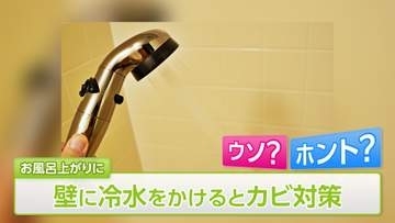 【梅雨前に…】お風呂場カビ対策の疑問「壁に冷水をかける」「ドアを開けて換気」はウソ？ホント？