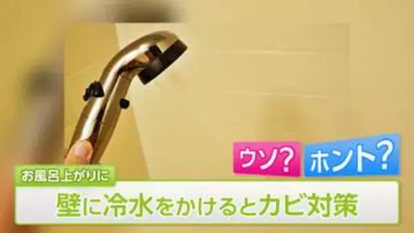 【梅雨前に…】お風呂場カビ対策の疑問「壁に冷水をかける」「ドアを開けて換気」はウソ？ホント？