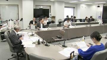 南海トラフ地震の津波リスク、鹿児島県で新たな被害想定を報告　種子島・屋久島では「10メートル超」も