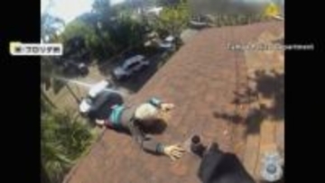 屋根の上で高齢男性身動き取れず「こんなことになるとは」掃除しようとして足滑らせる　壁の間からは子犬を救出　アメリカ