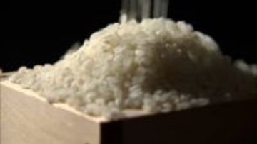 コメ平均価格5kg4416円で最高値更新も…2026年は手に入りやすくなる?専門家「春から夏にかけて3000円台後半に落ち着く見通しも」