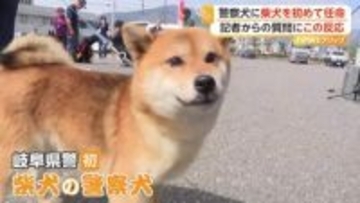 「頑張るぞ！」「ワン！」初の“柴犬”警察犬の任命式…2歳の「つぶ」が鋭い嗅覚と集中力で審査合格　岐阜県警