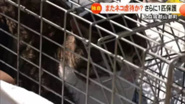 【続報】熊本・山都町でやけどを負い毛を切られたネコが見つかる　１カ月以内に同様の被害のネコが3匹に【熊本発】