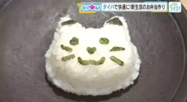 忙しい朝を助ける「タイパ」重視のお弁当グッズ特集：洗いやすさと時短に注目【広島発】