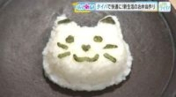 忙しい朝を助ける「タイパ」重視のお弁当グッズ特集：洗いやすさと時短に注目【広島発】