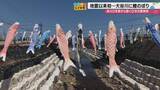 「能登半島地震から2年4カ月、大谷川に“鯉のぼり”が舞い戻った　珠洲・大谷町の復活の祭り」の画像1