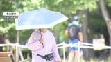 「岐阜と三重で4日連続の酷暑日、過去最長タイ　都心は5日連続の猛暑日に　週末以降も猛烈な暑さ続く見込み」の画像1