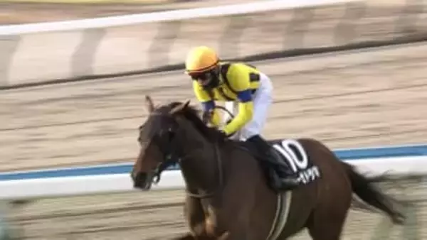 【小倉日経賞（OP）】東京・京都が積雪で異例の開催中止　小倉の主役は4歳牝馬レーゼドラマ