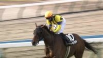 【小倉日経賞（OP）】東京・京都が積雪で異例の開催中止　小倉の主役は4歳牝馬レーゼドラマ