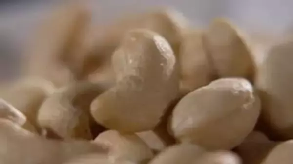 「機内でナッツ食べないで」微量で命に関わる症状も･･･　ナッツアレルギー当事者が抱える“空の旅”の不安　航空会社で対応に差