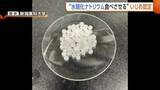 「「お菓子」と偽り…中3男子生徒が下級生に“水酸化ナトリウム”食べさせた問題　第三者委調査で“いじめ”と認定　新潟・五泉市」の画像1